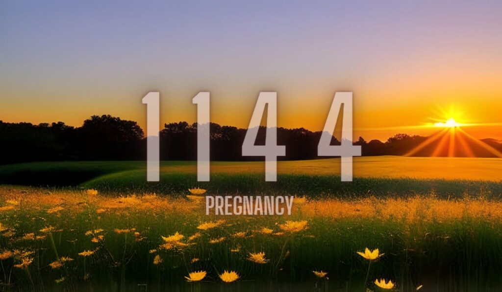 1144 Angel Number Pregnancy Meaning – 1144 Angel Number Meaning & How to Respond – The phenomenon of angel numbers has long fascinated those who seek a deeper understanding of the mystical forces at play in our lives. One such number that holds significant meaning is 1144. In this article, we will explore the profound symbolism and significance behind the 1144 angel number, offering insights into its numerological interpretation, personal life implications, love and relationship connotations, twin flame connections, pregnancy symbolism, Hebrew associations, biblical references, and frequently asked questions.